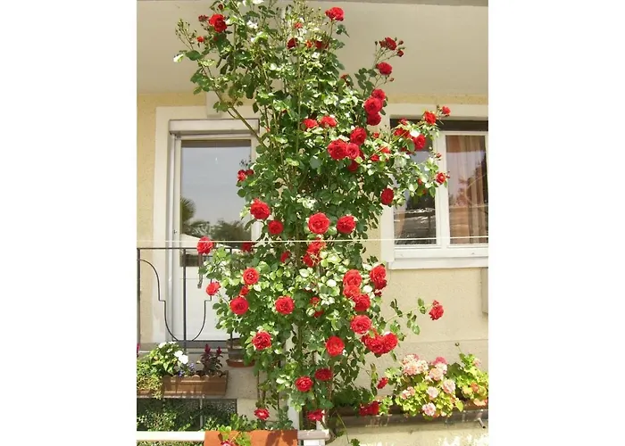 Gaestehaus Seeblick ホテル *